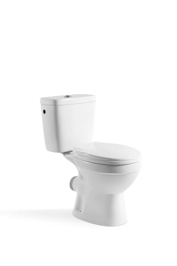 Bulk Two Piece Toilet7