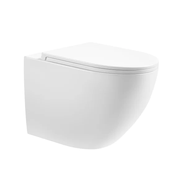 Bulk Wall Mount Toilet 4