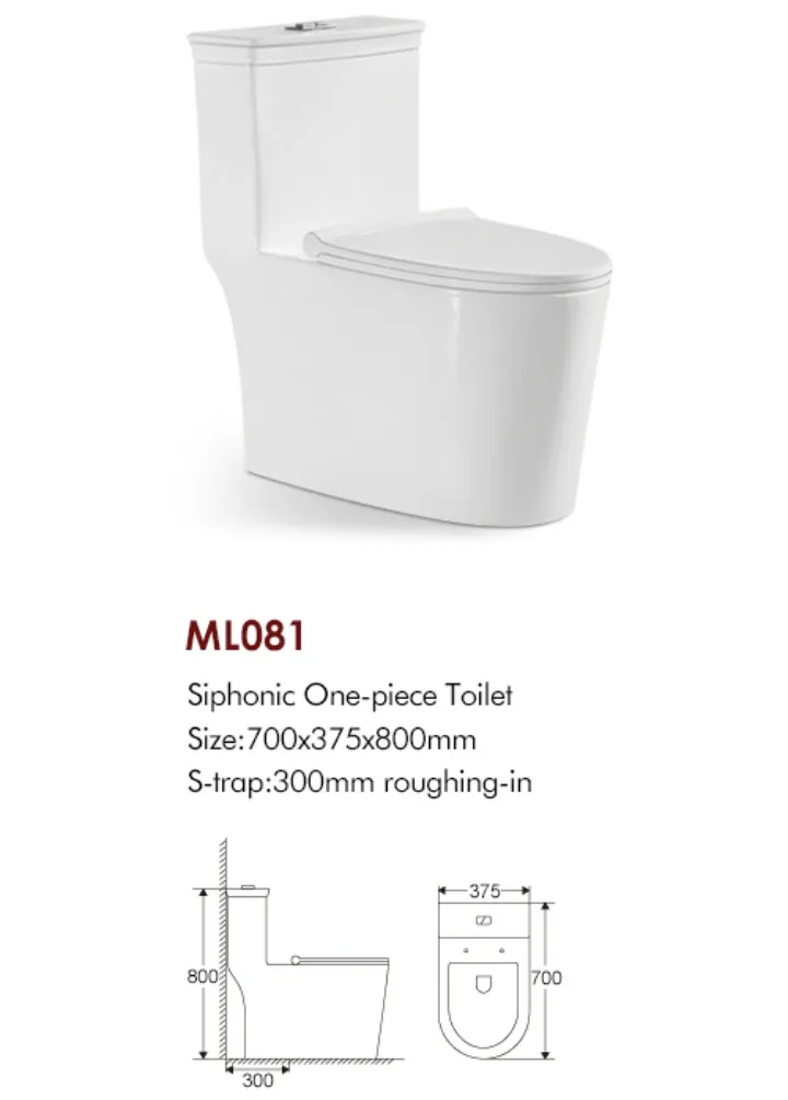 Custom One Piece Toilet S Trap 300mm 1