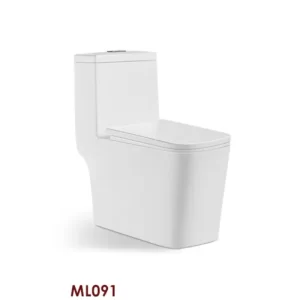 Custom Single Piece Toilet with Innovative Flush System 2