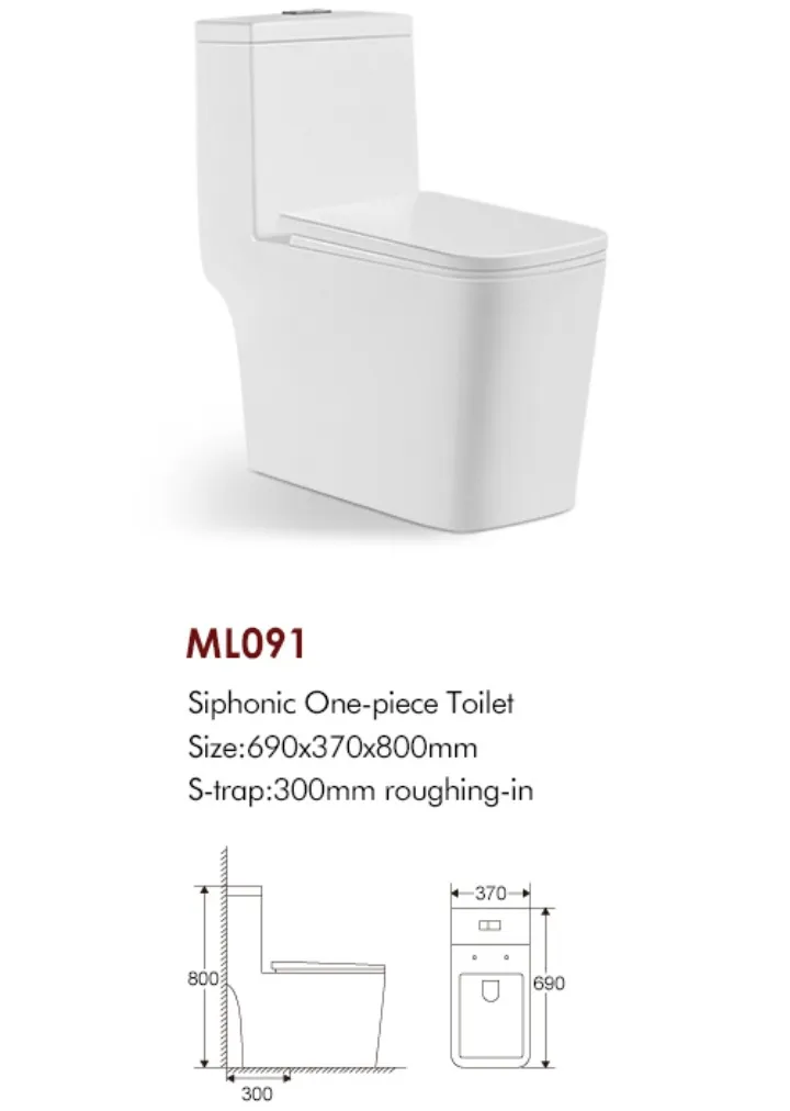 Custom Single Piece Toilet with Innovative Flush System