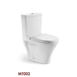 Custom Two-Piece Toilet 2