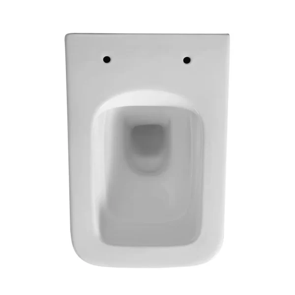 Custom Wall Hung Toilet 8