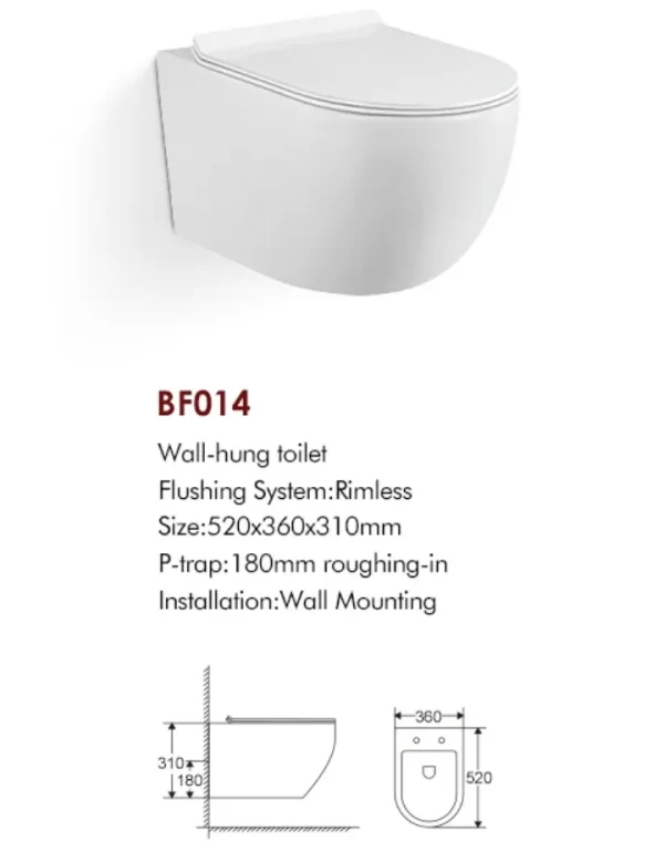 Custom Wall Mounted Toilet 1