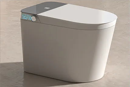 Smart Toilet