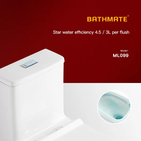 Wholesale Single Piece Commode Only 4.5L for Powerful Flush 5