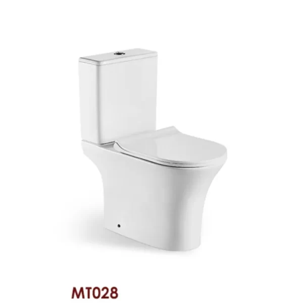 Custom Elegant Toilet Two Piece 2