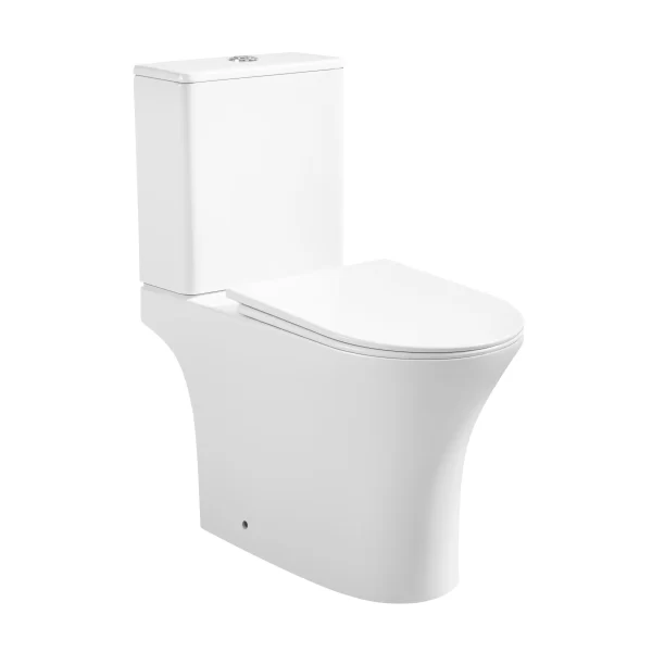 Custom Elegant Toilet Two Piece 3