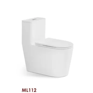 Wholesale 1 Piece Toilet 2