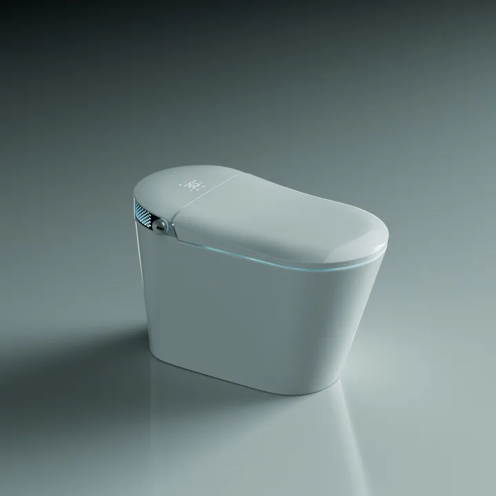 Buy Porcelain Smart Bidet Toilets Wholesale 1