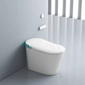 Buy Porcelain Smart Bidet Toilets Wholesale 2