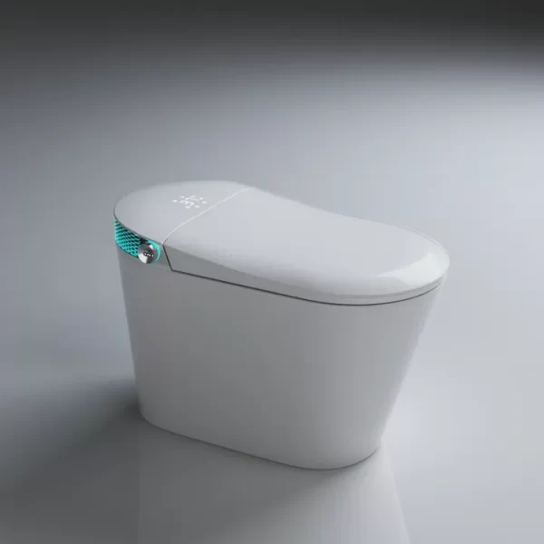 Buy Porcelain Smart Bidet Toilets Wholesale 3