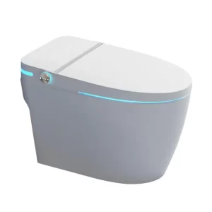 Custom Smart Toilets with Latest Design ,OEM Smart Toilet Supplier